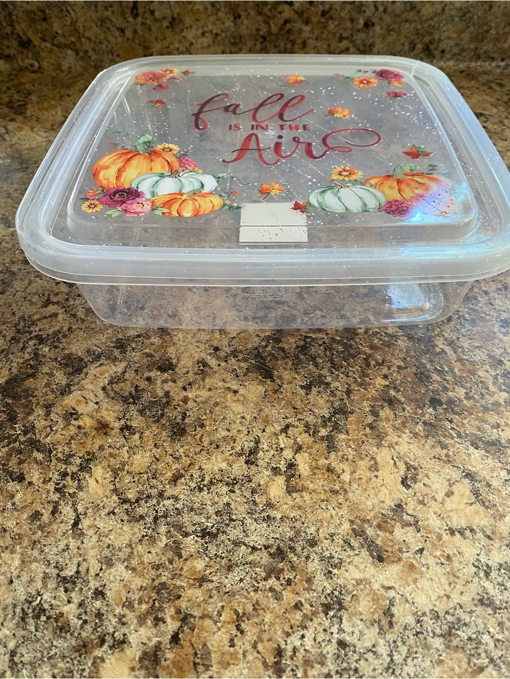 Clear Plastic Food Storage Container with Fall Pumpkin Design - Clear